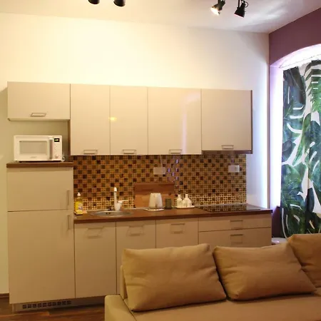 Cozy In Center Of Apartment Rijeka