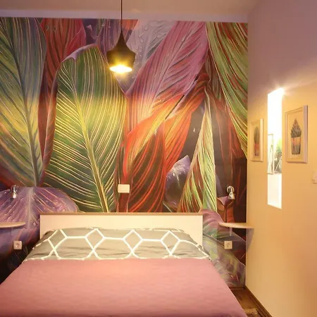 Apartment Cozy In Center Of
